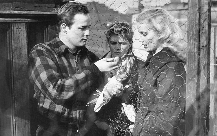 Iso musta seksikäs Dicks