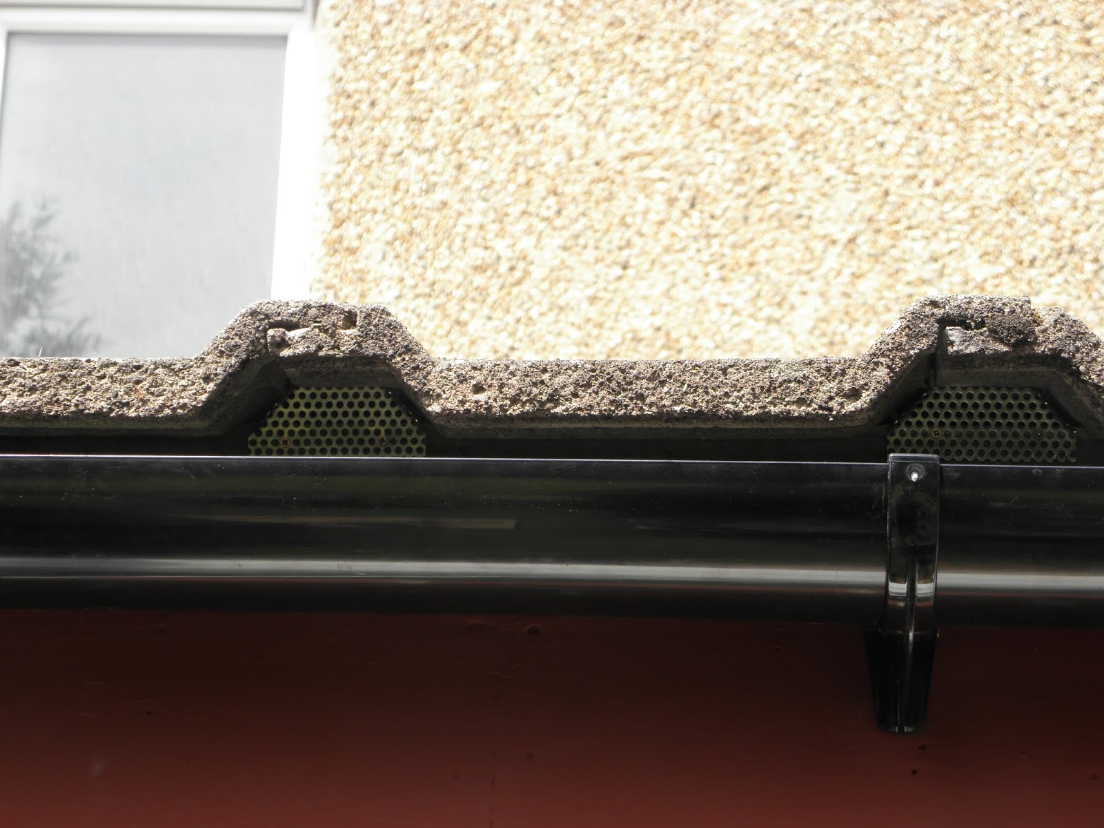 where eagles fear to perch Stopping mice entering through the roof eaves