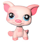 Littlest Pet Shop Large Playset Pig (#572) Pet