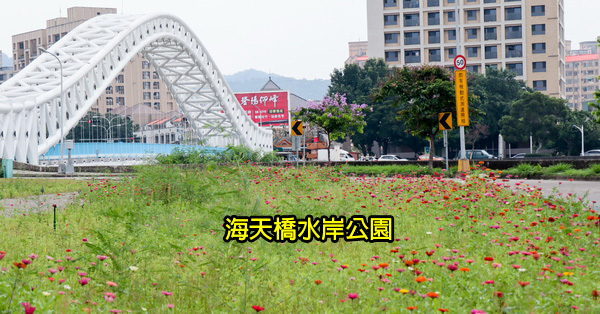 台中北屯|鉅虹建設海天橋水岸公園|百日草|落羽松|阿勃勒|美景盡收眼底 台中北屯|鉅虹建設海天橋水岸公園|百日草|落羽松|阿勃勒|美景盡收眼底