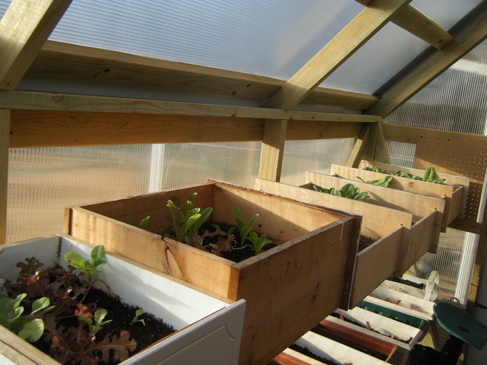 Greenhouse In A Box