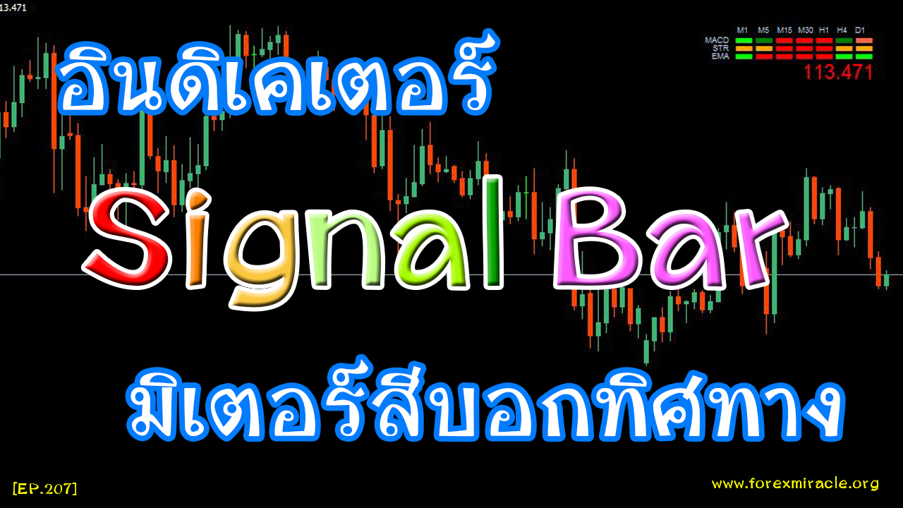 Black white signal bars in forex trading