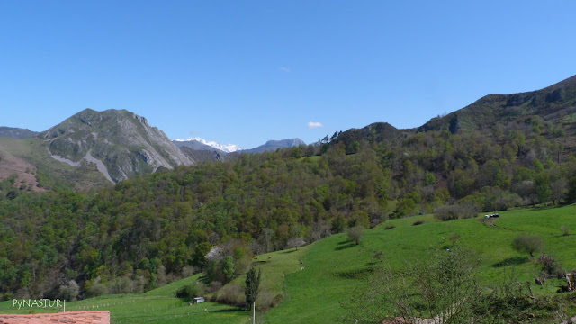 Vistas de Peña Priede y Picos desde Pesquerín - Asturias Vistas de Peña Priede y Picos desde Pesquerín - Asturias
