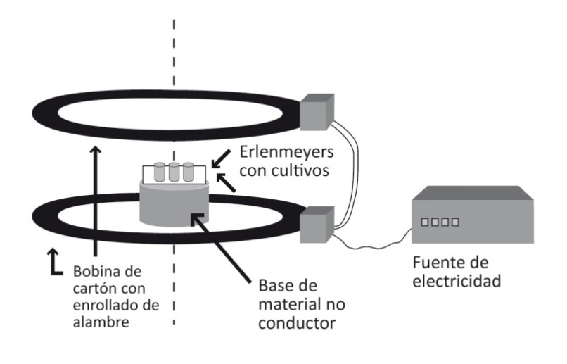 Campos Magneticos Oscilantes En Alimentos Pdf camposmagneticosyoscilantes.blogspot.com