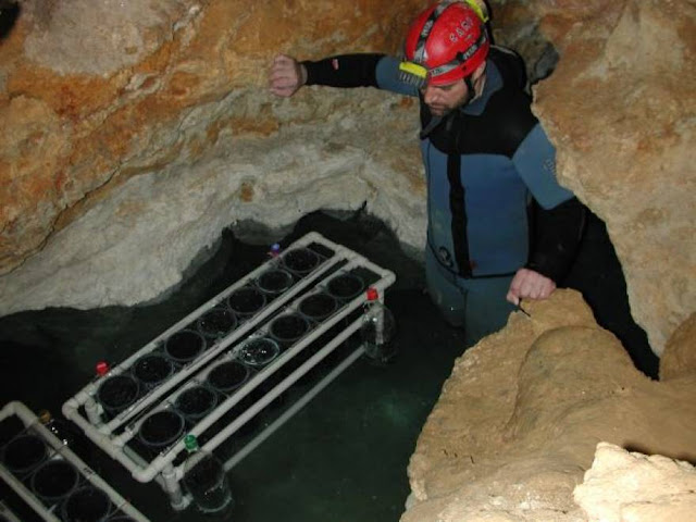 Scientists Entered A Cave That Had Been Isolated For 5.5 Million Years! What They Found Inside Was Something They Never Expected! Scientists Entered A Cave That Had Been Isolated For 5.5 Million Years! What They Found Inside Was Something They Never Expected!