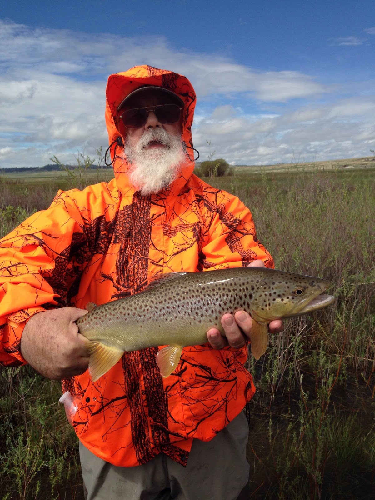 Addictive Angling Colorado Runoff Fly Fishing