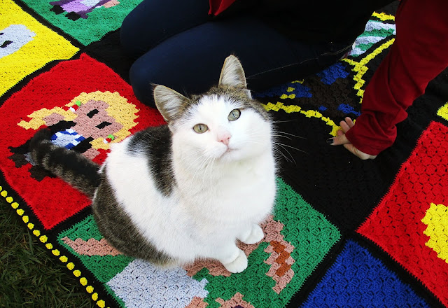 Crochet blanket Harry Potter CAL, Häkeldecke Harry Potter CAL