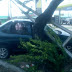 Carro colide com árvore e derruba poste na Bernardo Vieira
