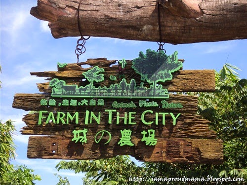 Lawatan Ke Farm In The City!