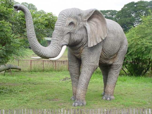 Nanda Ni-chan Blog: Gajah