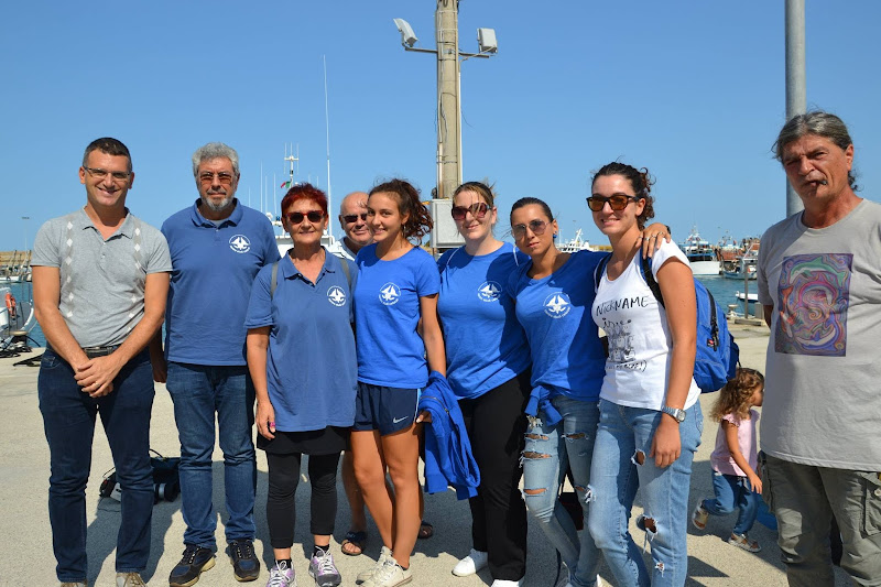 Straordinario! Tornano in mare quattro tartarughe -VIDEO