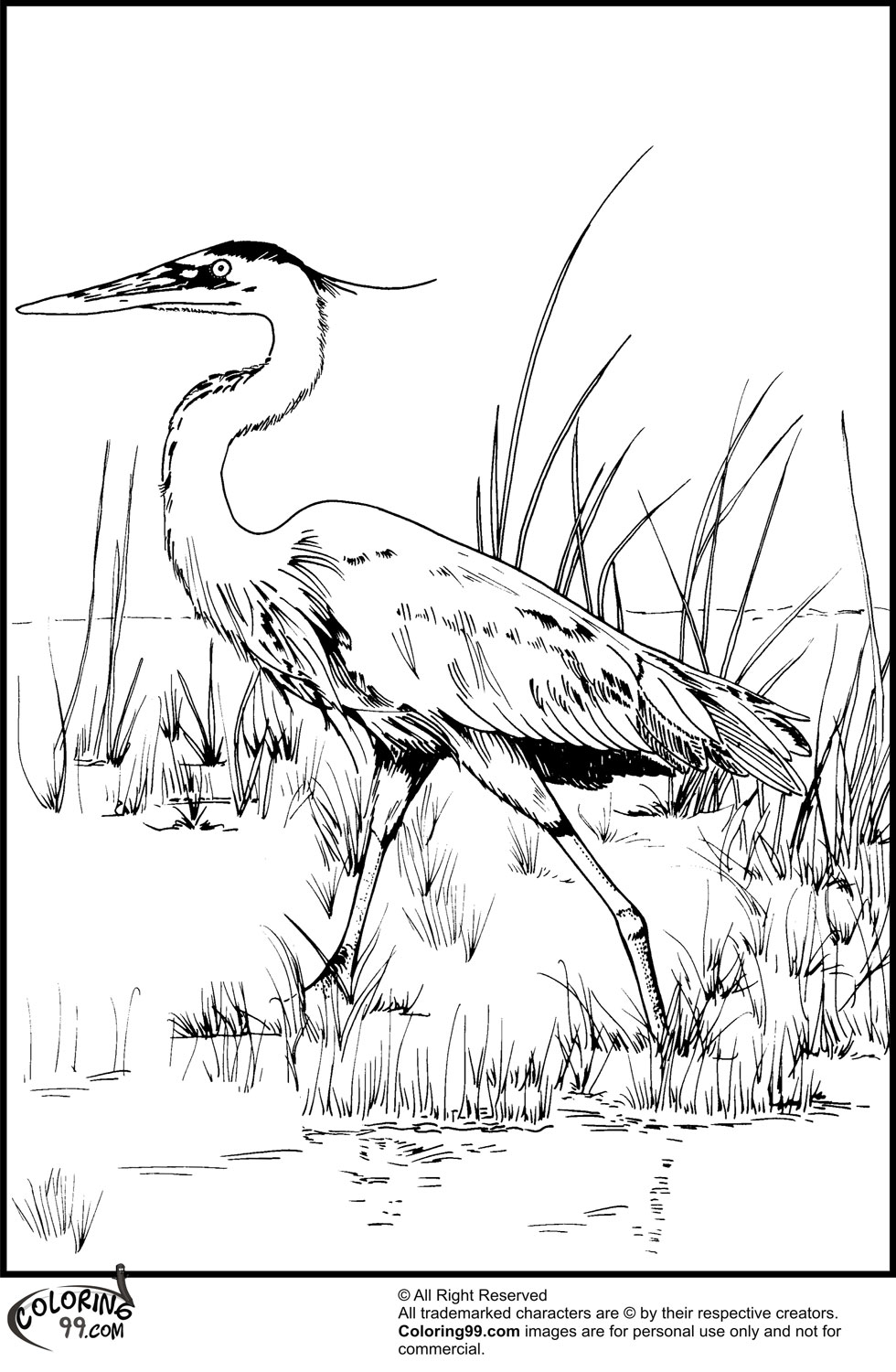 Stork Coloring Pages | Team colors