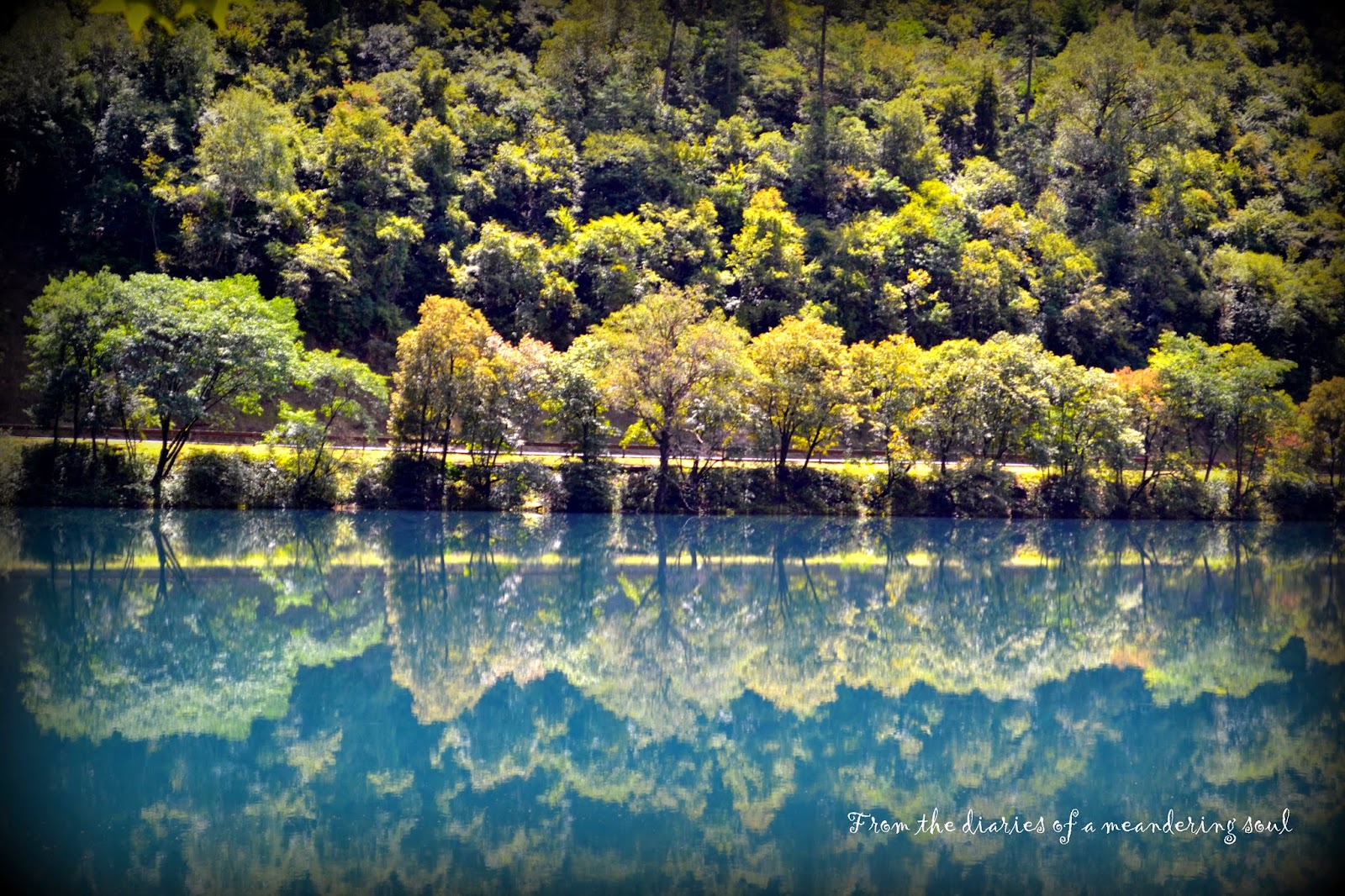 The Mirror Lake