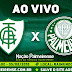 Jogo América-MG x Palmeiras Ao Vivo