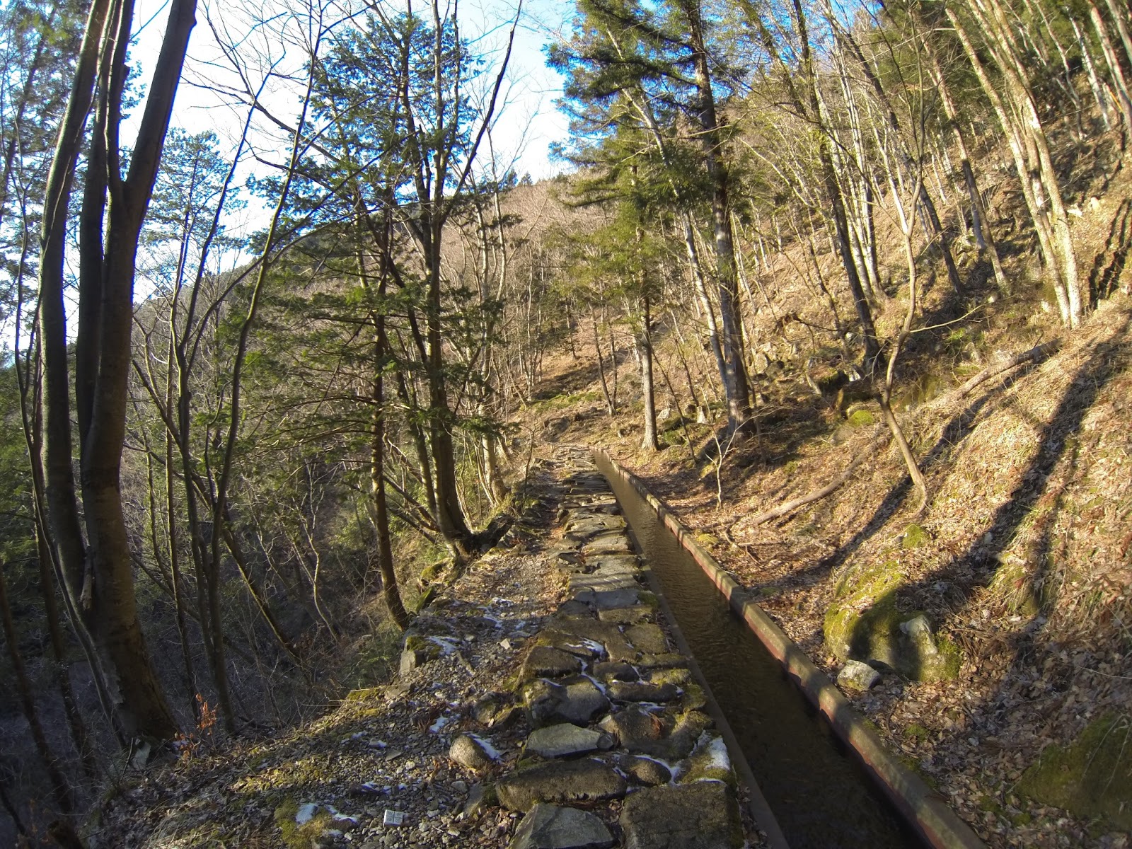 Victoria In Japan Land Nakatsugawa, Japan Late Afternoon Light