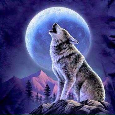 Cuore D Italia La Leggenda Della Luna Piena