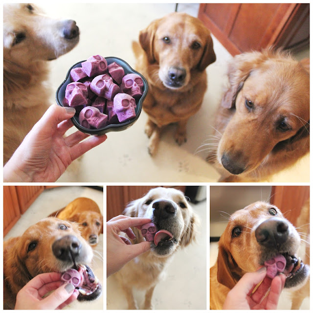 blueberries and dogs frozen blueberry skull treats for blueberries and dogs frozen blueberry skull treats for