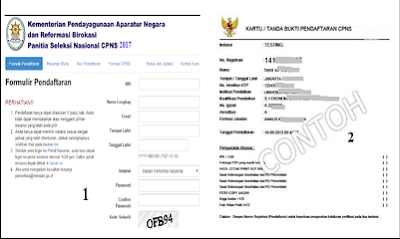 Cpns2019 Contoh Formulir Pendaftaran Cpns Online