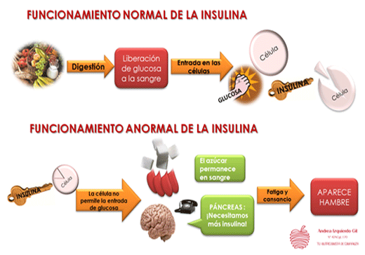 Educación Alimentaria y Nutricional Educación Alimentaria y Nutricional