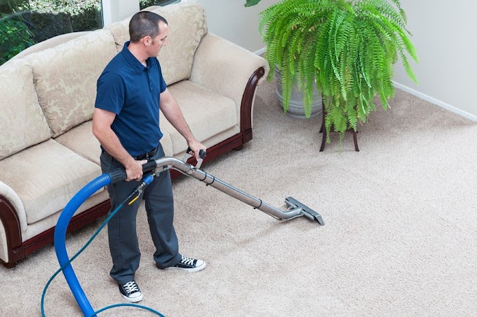 Professional carpet cleaning services provide a complete peace of mind
