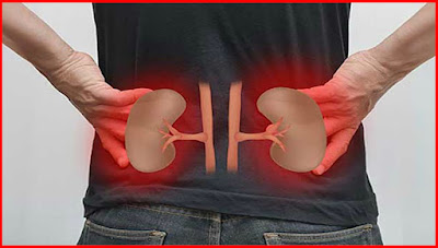 If Your Kidney Is In Danger Mode, The Body Will Give You These 7 Signs - Signs of Kidney Damage