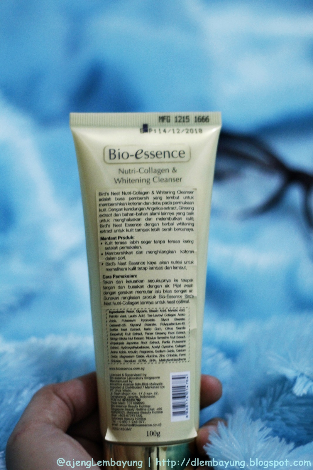 Rainbow After The Rain [Review] BioEssence Bird's Nest Foam Cleanser