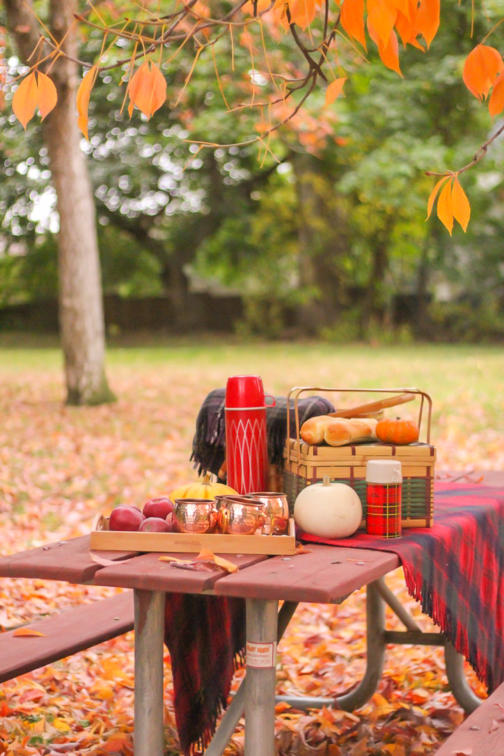 How To Host An Easy Autumn Picnic This Celebrated Life