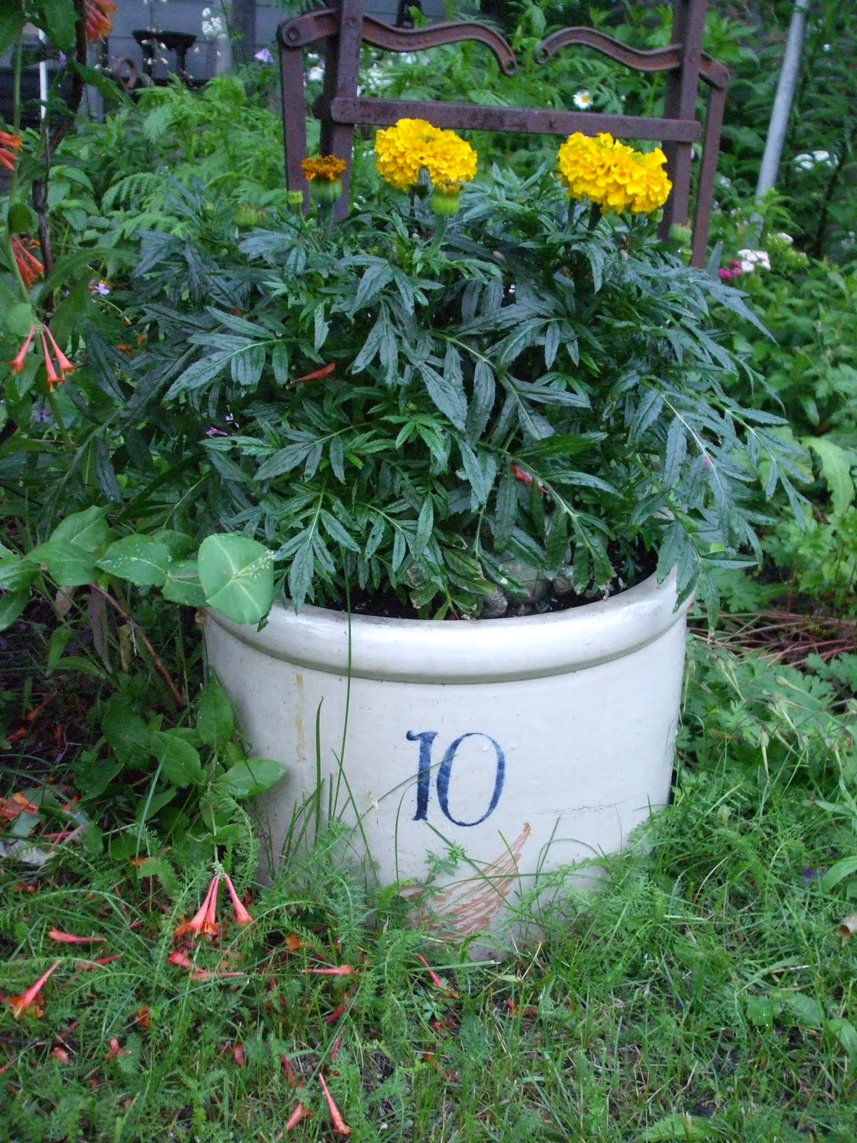 Second Hand Rose Decorating our Yards and Gardens!