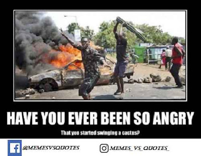 Best mad meme, anger memes Swinging a cactus