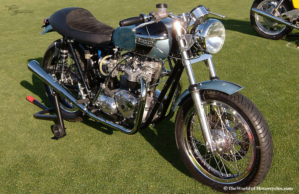 Diagram Bones T140 Brat