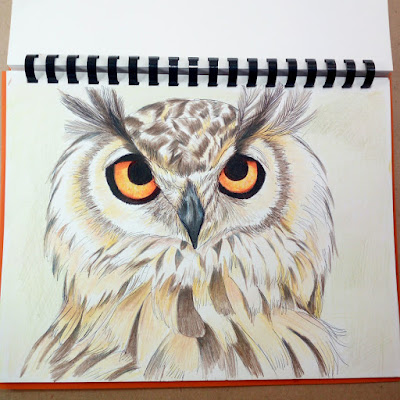 dibujar animales en sketchbook