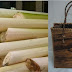 Produk dan Proses Kerajinan Bahan Serat thumbnail