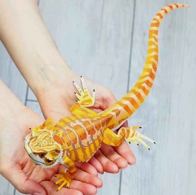 bearded-dragon-toys-amazon-zoo-med-repti-hammock.jpg