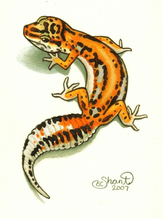 Tatuajes de salamandras para mujer