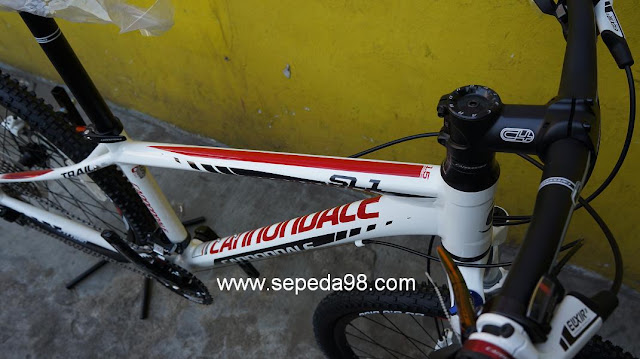cube electric bike battery