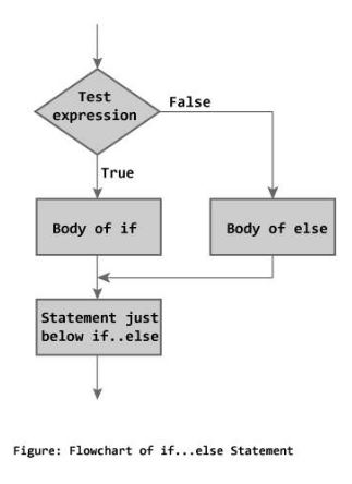 C++ if, else if, nested if Statement Test Expression
