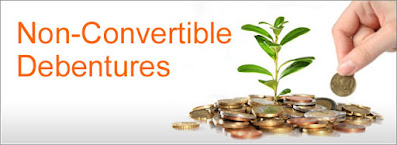 Non Convertible Debentures