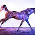 Increíbles fotos artísticas de caballos