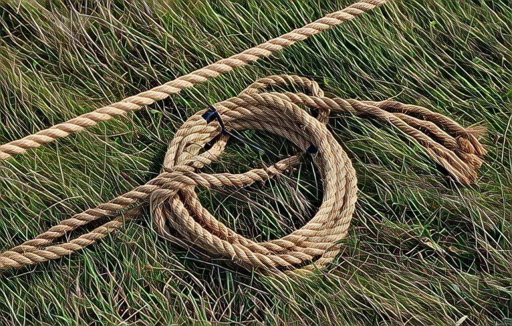 петля