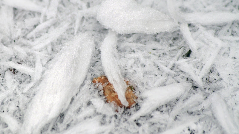 Winter Frost 3