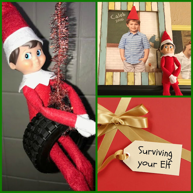 A Day At 523: My tips for surviving Elf on a Shelf