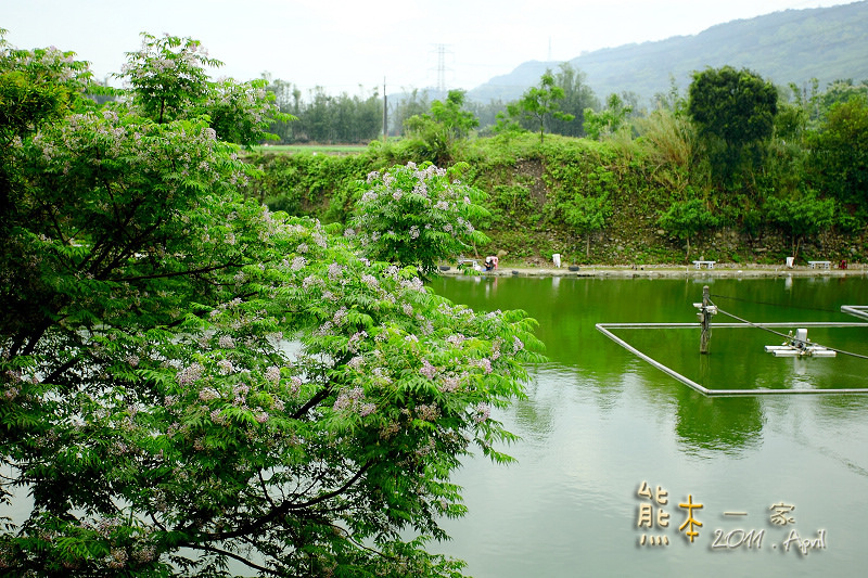 石園農場|釣魚場|兒童戲水池