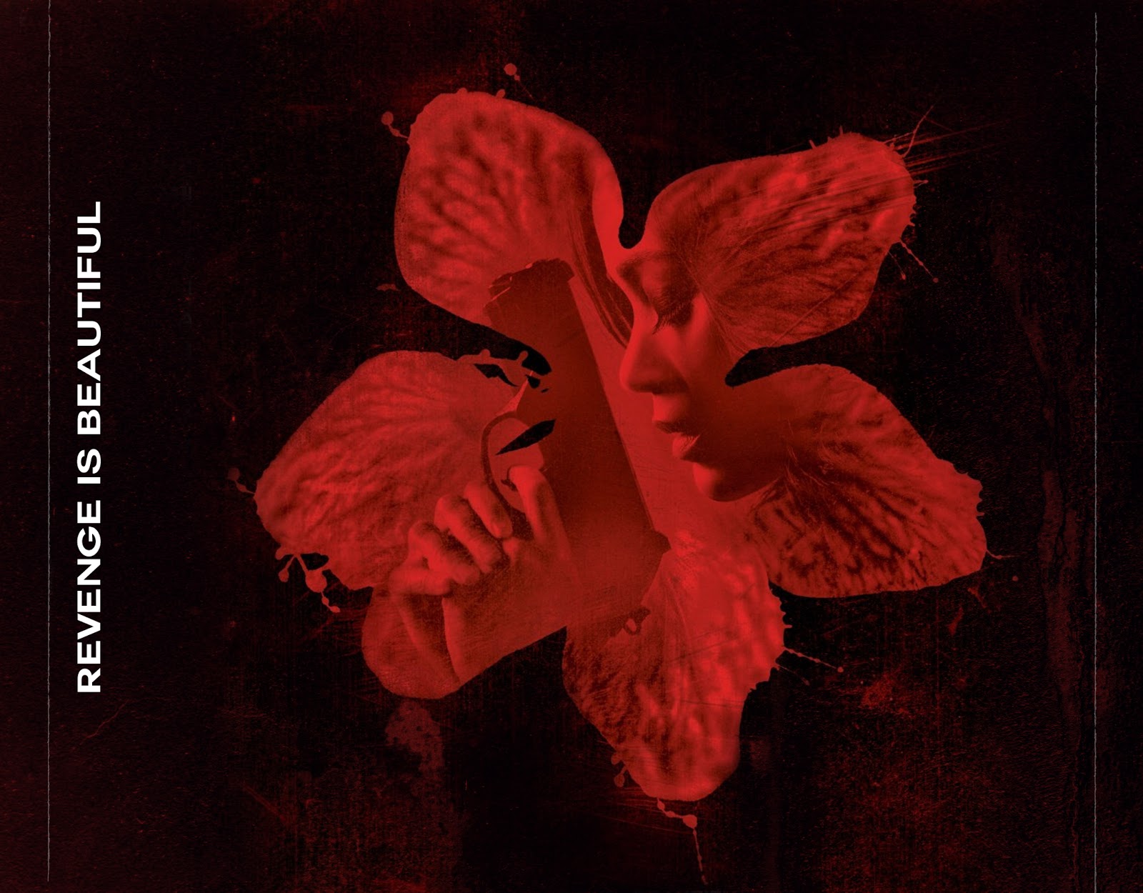 цветок коломбиана каталея. каттлея цветок. Restrepia elegans. орхидея каттлея колумбия. каталея.