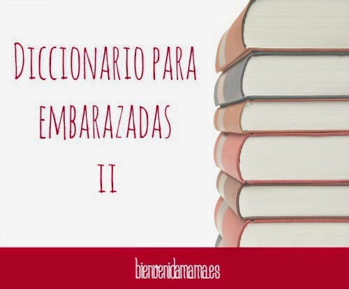 diccionario-embarazadas