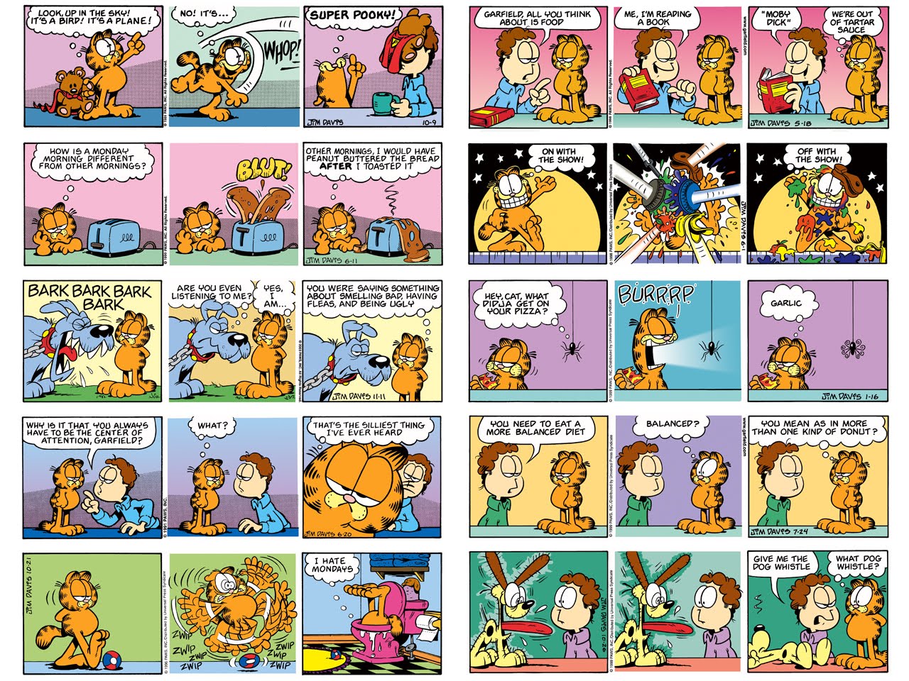 GarfieldBros garfield comics