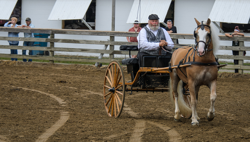 Projects and Photographs Geauga County Fair Draft Horse Show