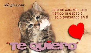 Frases de Amor en Imágenes Bonitas para Enamorar y Descargar Gratis Frases de Amor