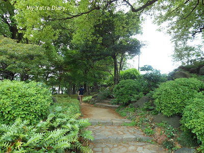 Green pathway at Hibiya Garden - Tokyo, Japan