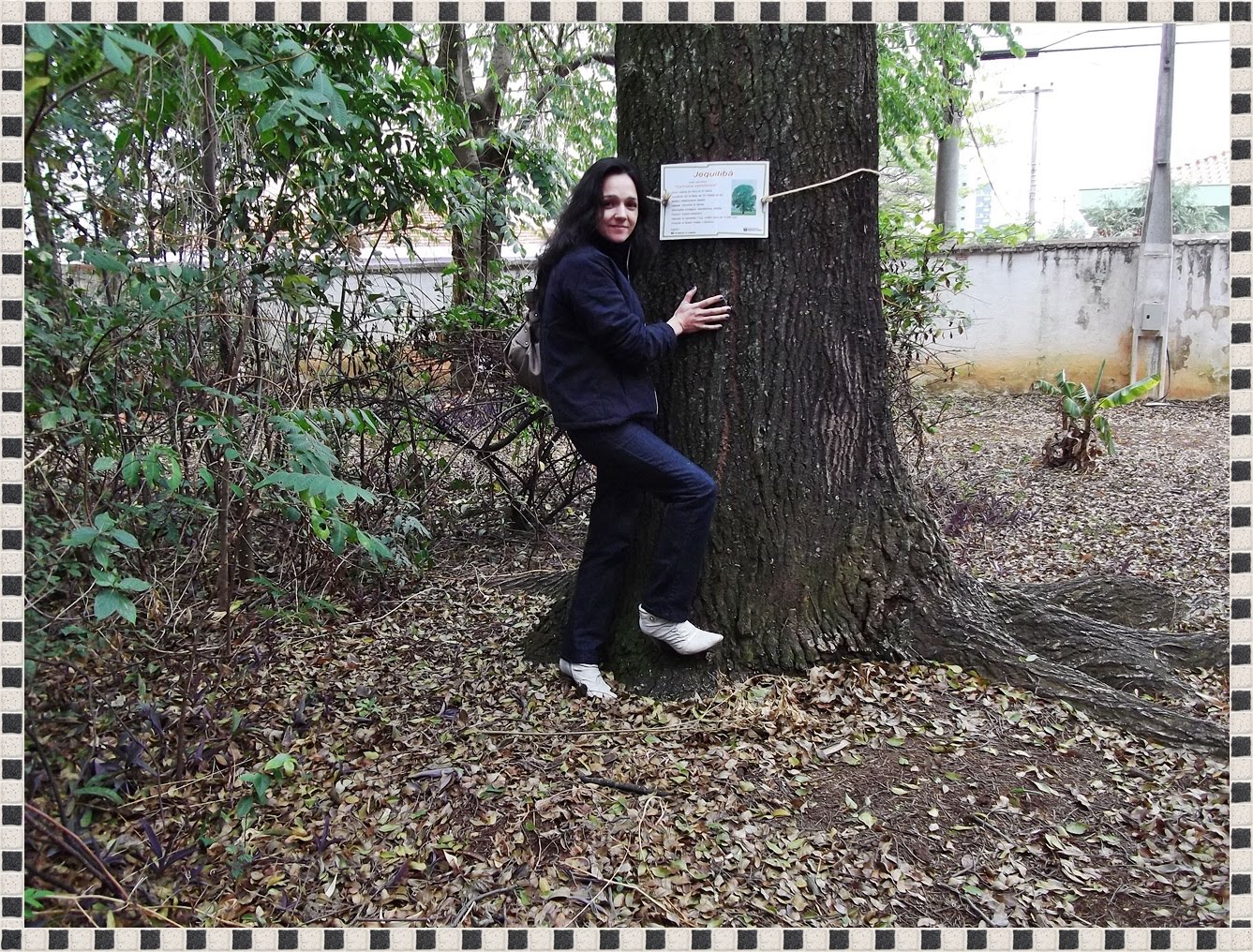 Olhares de Indaiatuba Casarão Pau Preto