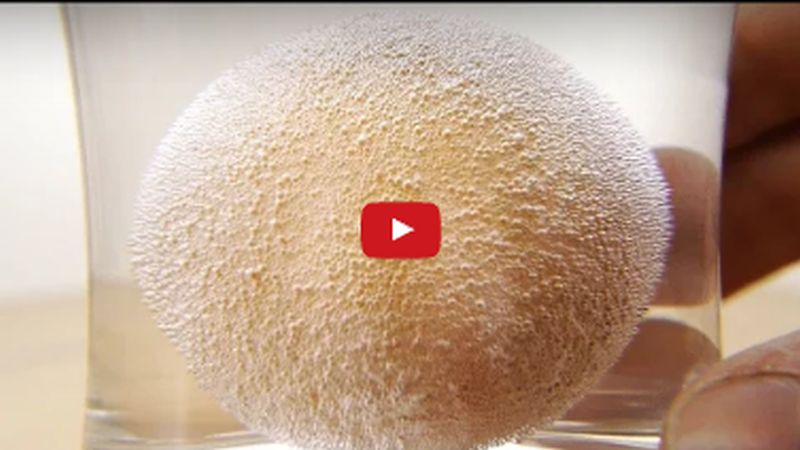Egg Shell Science Experiment - Dissolves in Vinegar - Must Watch Video